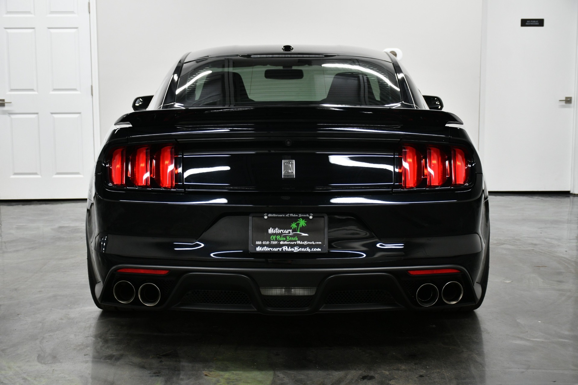 2017 Ford Mustang Shelby GT350 photo 8