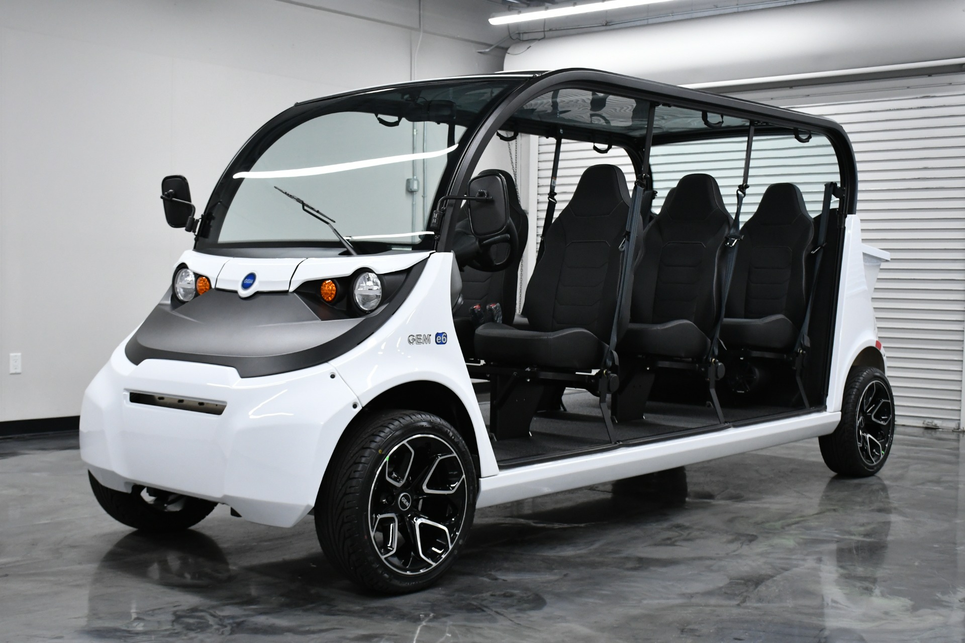 Polaris gem e6 for sale discount